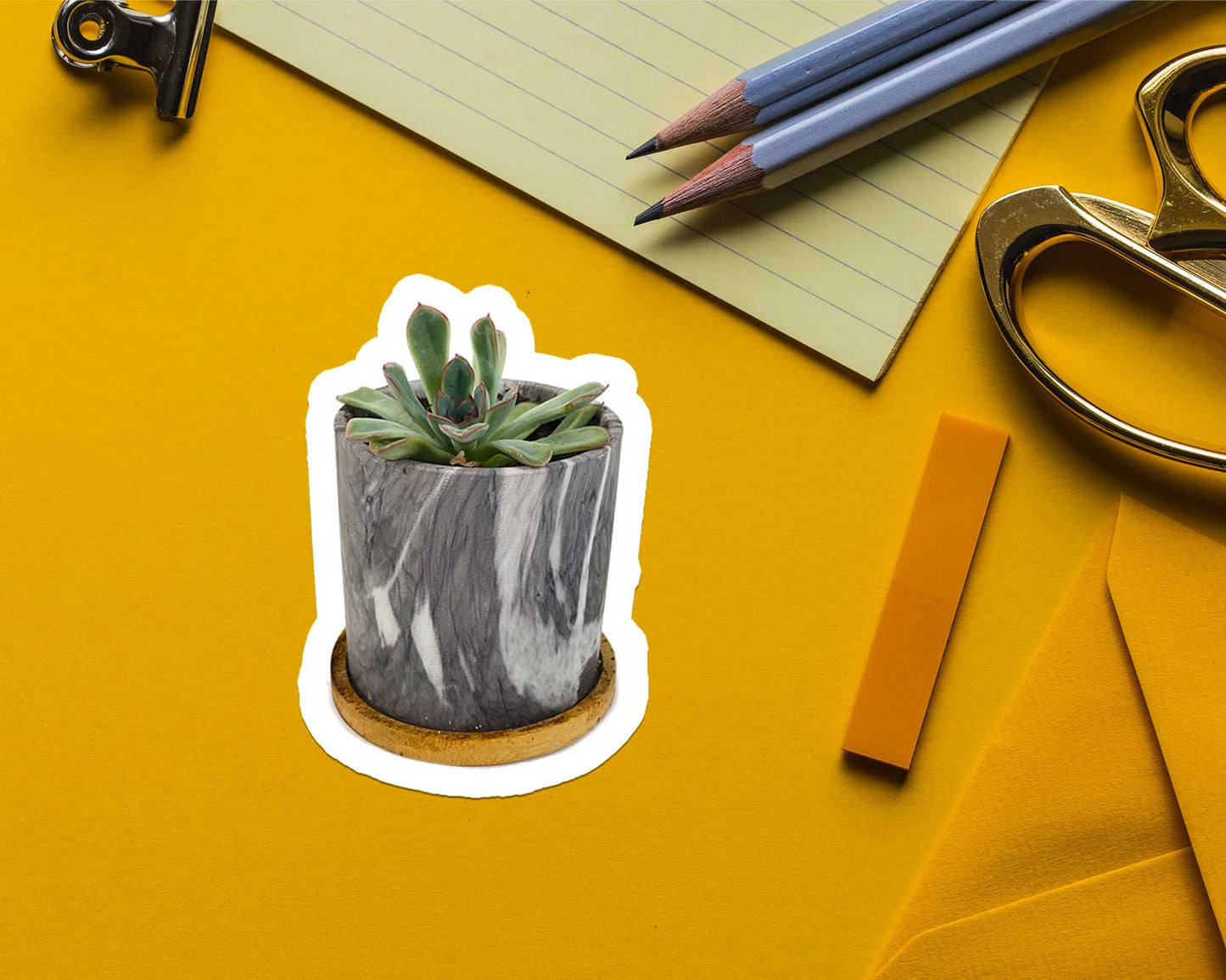 Succulent Sticker