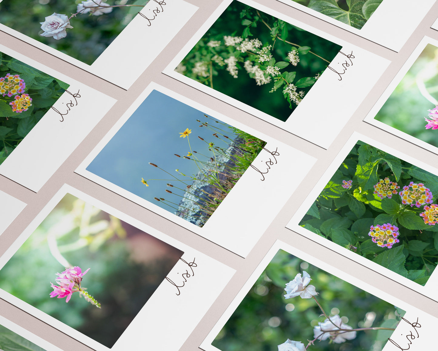 Floral Photography Note Cards Variety Pack