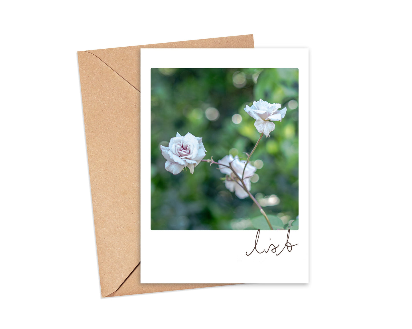 Floral Photography Note Cards Variety Pack